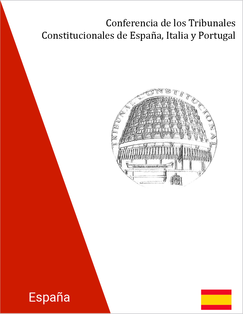 Portada del documento: Eficacia en el tiempo de los pronunciamientos de inconstitucionalidad: modulaciones jurisdiccionales.